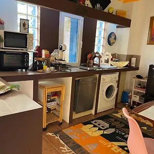 Salamandra Apartment